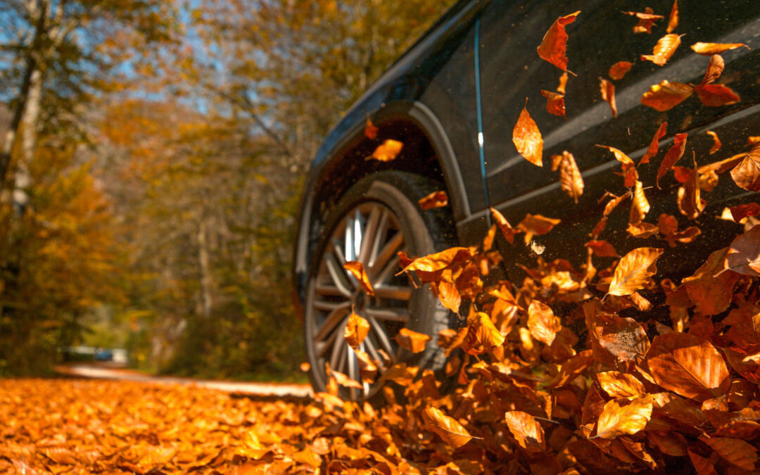 Top 5 Fall Driving Hazards and Safety Tips to Prevent Accidents