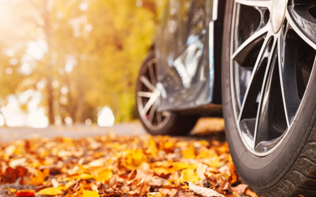 Fall Driving: Why Speed Is Your Worst Enemy on the Road